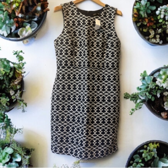 j_royalty's tweet photo. So good I had to share! Check out all the items I'm loving on @Poshmarkapp #poshmark #fashion #style #shopmycloset #laurencekazar #revolve #bananarepublic: https://t.co/YaGpELXHGF https://t.co/dYVHwelACn