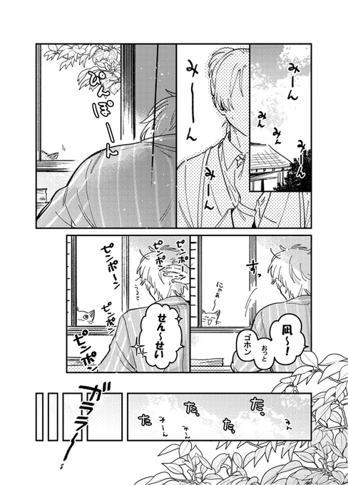 ssr先生