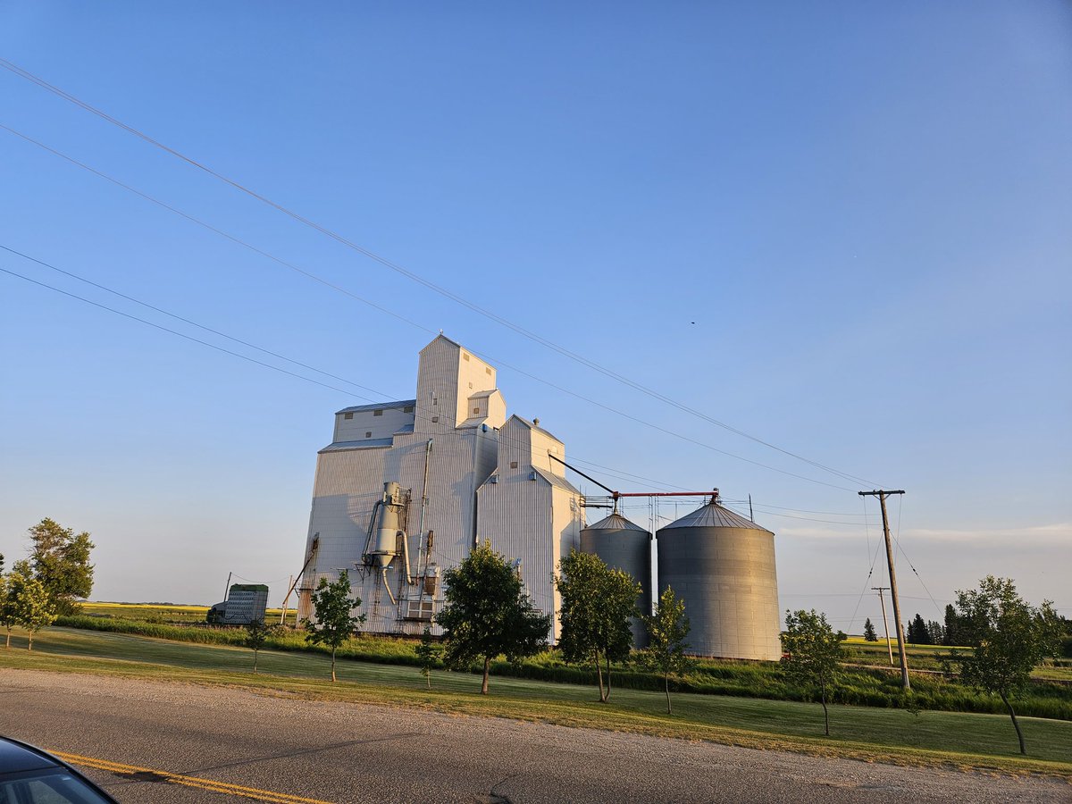 MapleAndTea's tweet photo. Happy Twelfth of July from our wee Ulster out in the Canadian prairies 🇨🇦🏵🇬🇧 

In glorious and immortal memory of King William - no surrender! https://t.co/HjMlzKqbXz