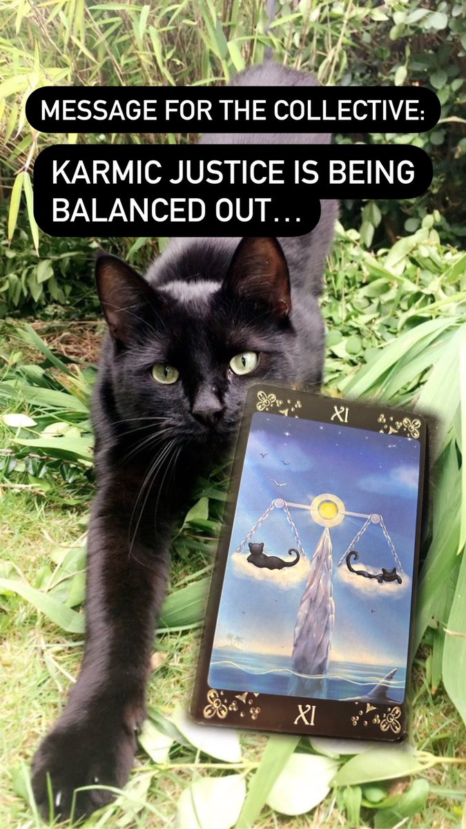 katmom85's tweet photo. Hi Everyone! Here are the messages from ANOTHER new tarot deck. Sorry they are so late! Separate messages have been uploaded to my YouTube channel. Love and Light to Everyone! 😊🔮💜 https://t.co/XJCYQSMnpC