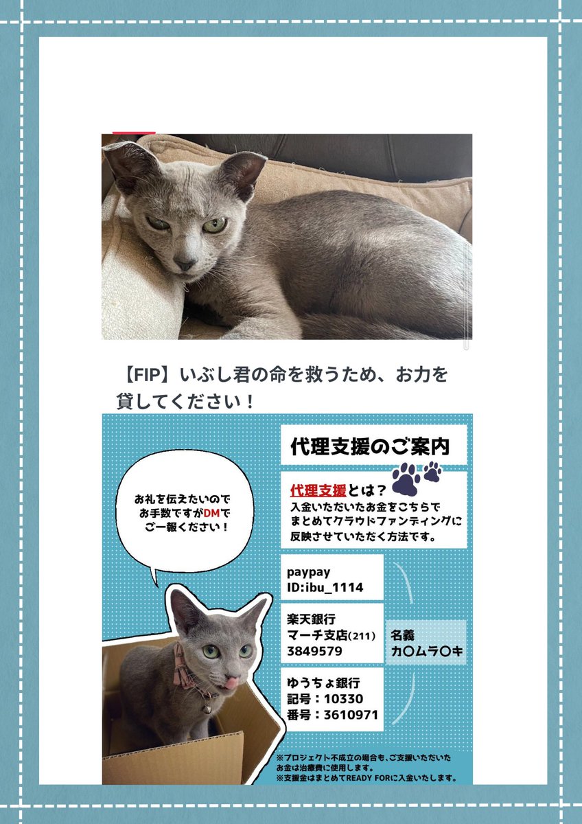 NANASEF29768's tweet photo. 体が弱く、とても苦労の多いいぶしくんです。
残り日数も少なくなってきてピンチです。どうか、お力を貸して下さい。
#FIP　#大量拡散希望　#難病
https://t.co/uMMnjqpwLn https://t.co/fBrzwSqoMr