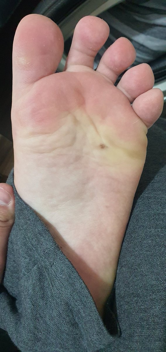 dirty__paws's tweet photo. I really need new pose ideas ¯\_uwu_/¯ https://t.co/ggGwg2d6QF