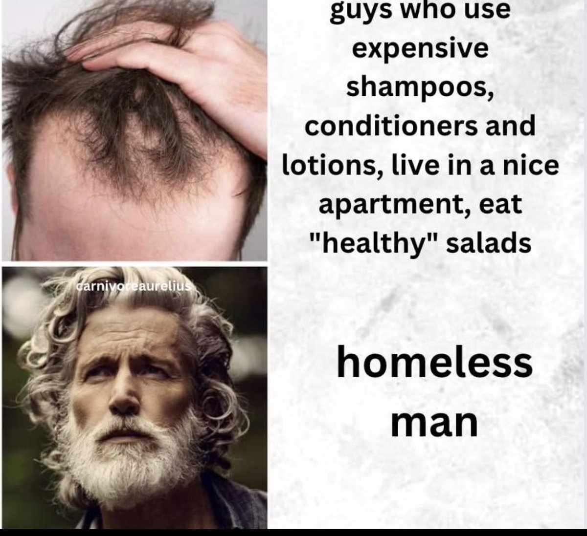 NO CONTEXT HUMANS (@humansnocontext) on Twitter photo 