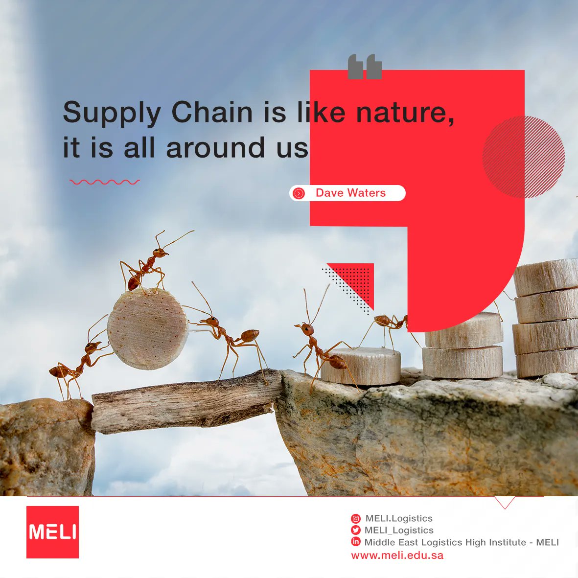 MELI_Logistics tweet picture