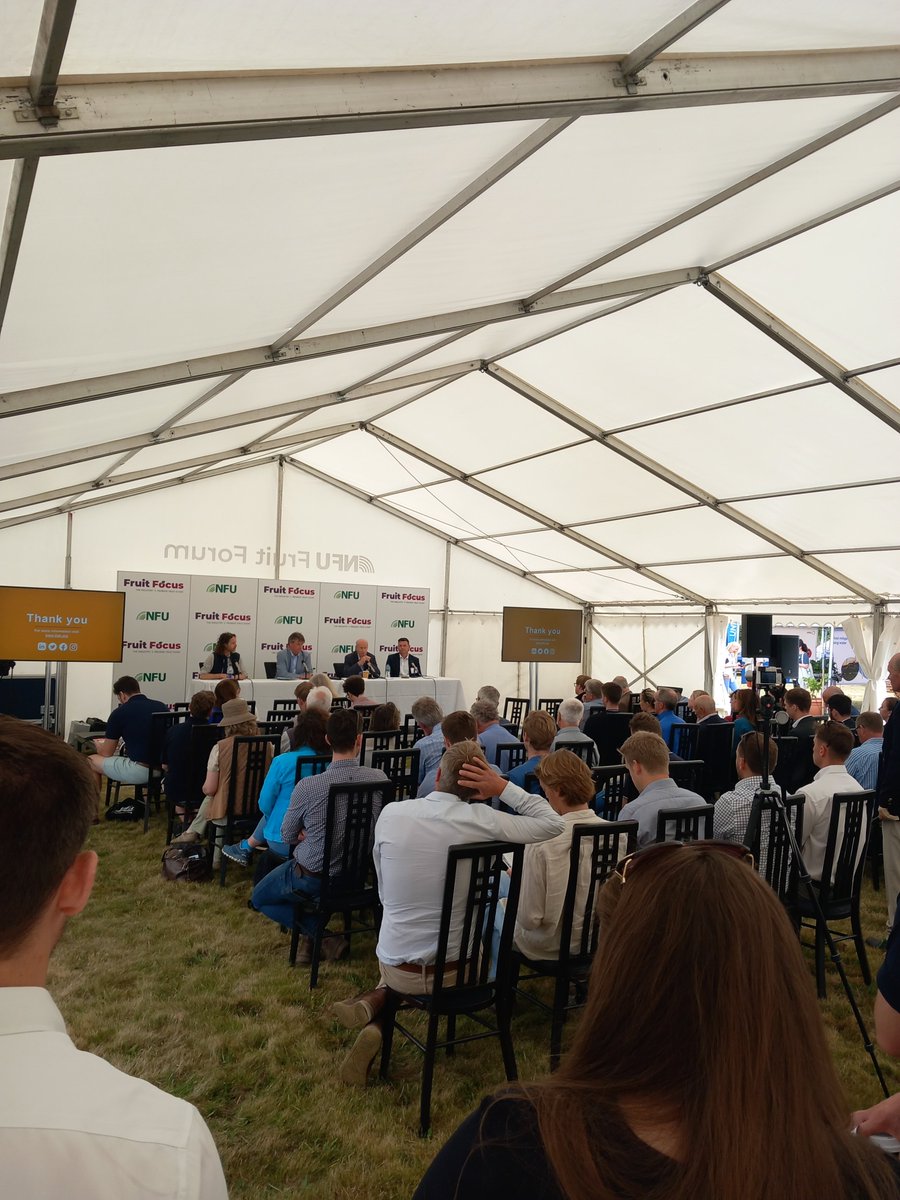 Fruit Focus tweet media