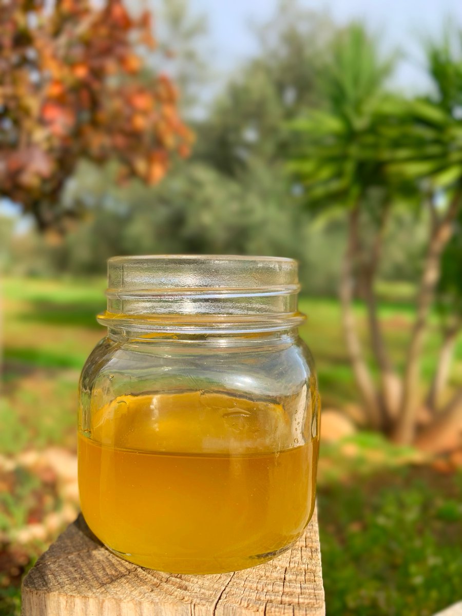 Puglia is home to over 60 million olive trees, making it the largest producer of olive oil in Italy. The region’s olive oil is highly regarded for its quality and flavor.
#PugliaPerfect #Olives #oliveoil #EVOO #olivegrove