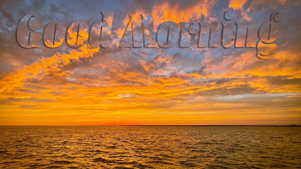 AdamTuffnell's tweet image. Throw back #MorningMoment #today

What legacy photo did your phone show you today?