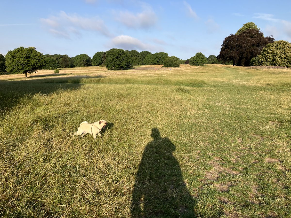 Chris Salt tweet media