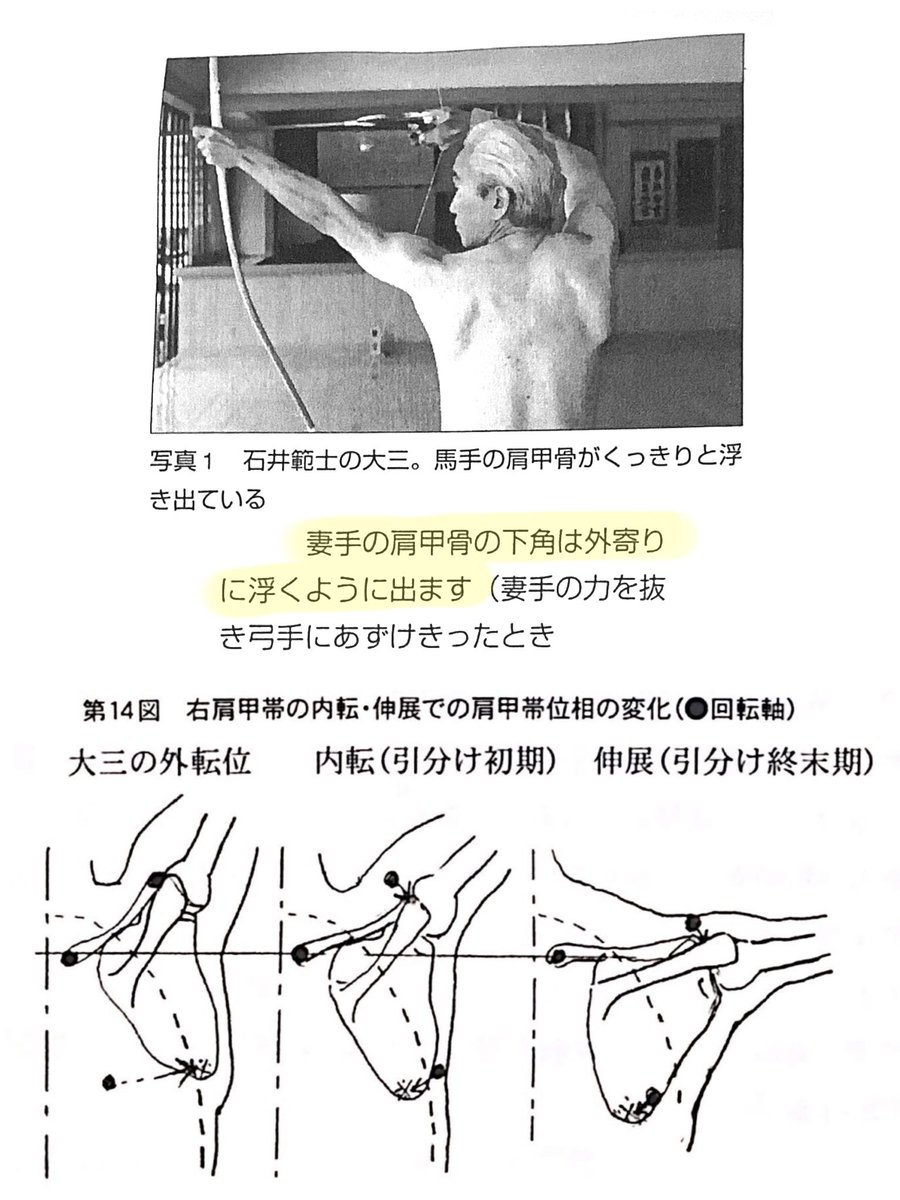 弓道 大 三