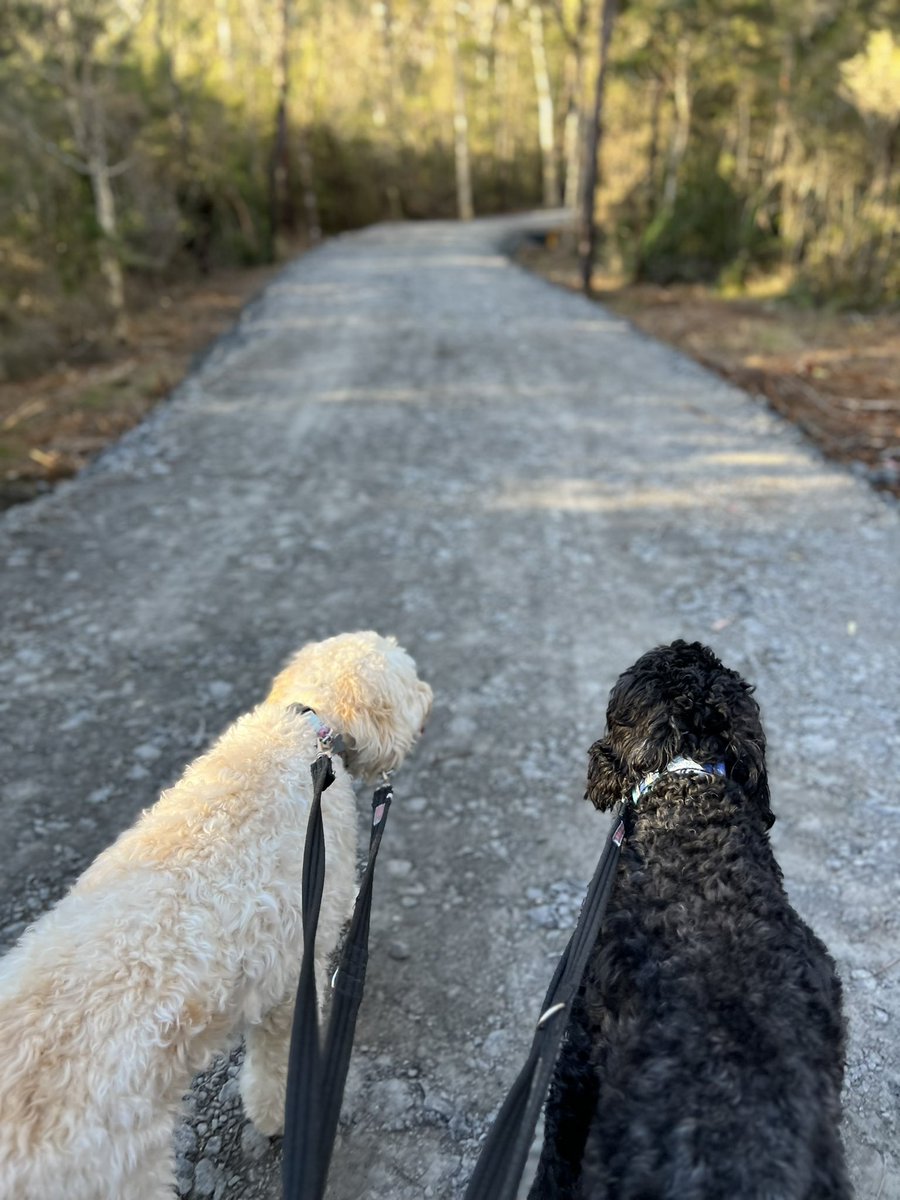 doug_griffiths's tweet image. Afternoon work meeting with colleagues. #headspace #howstheserenity