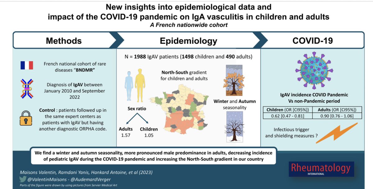 Our last article with internal medicine @CHRU_Tours team / @BNDMR in #RheumatologyInternational @AudemardVerger « 📍New insights into epidemiological data and impact of the COVID-19 pandemic on IgA vasculitis in children and adults📍» 🙂🩺🥼
link.springer.com/article/10.100…