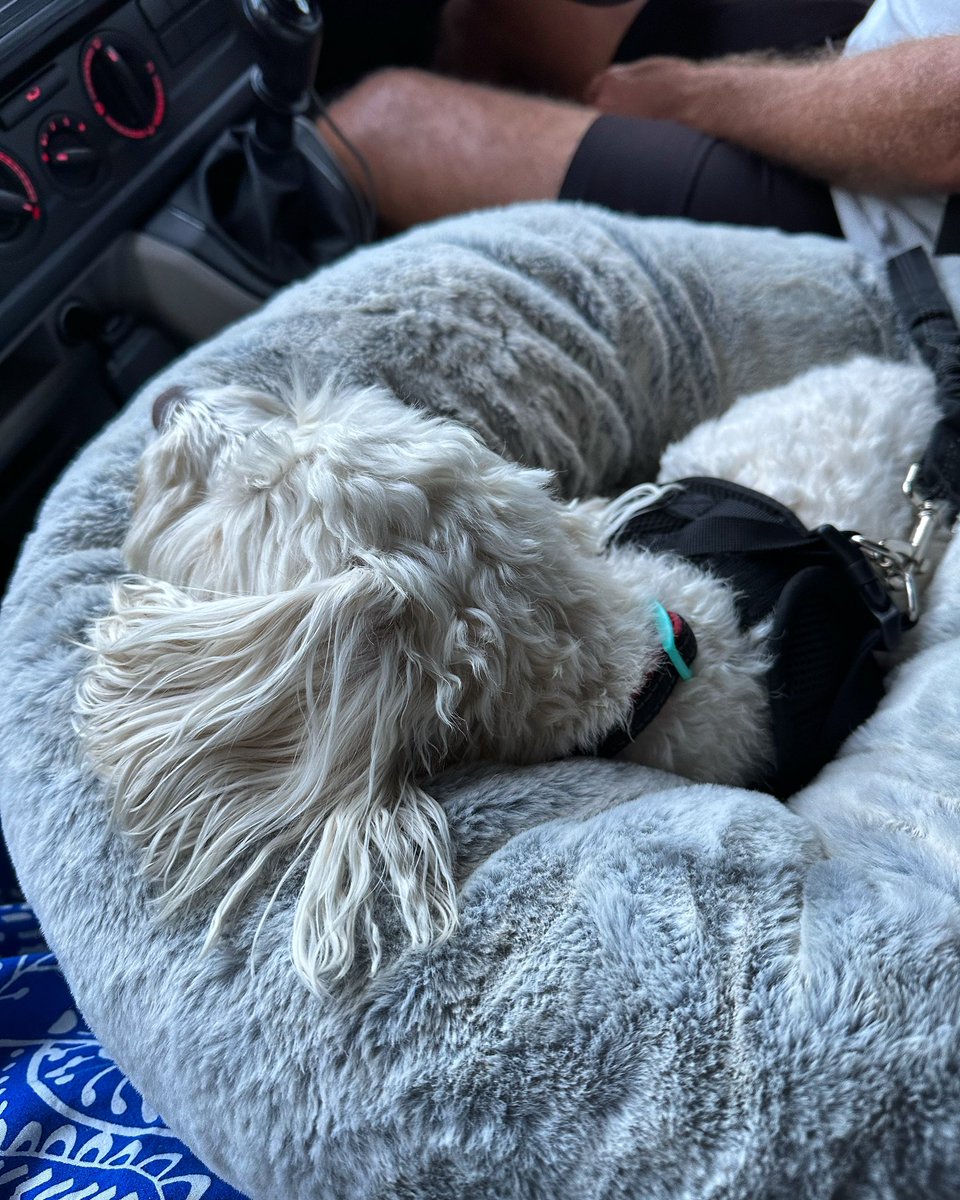 Cali travels in business class 😂