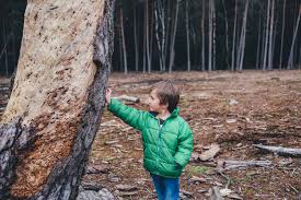 MissU_Robins's tweet photo. Good morning Robins!  I am really looking forward to our trip to Barnwell today! Remember to wear long trousers and sturdy shoes ready to take part in our fun activities. See you soon! #RPIS 🍃 https://t.co/SY5Af2Byvk