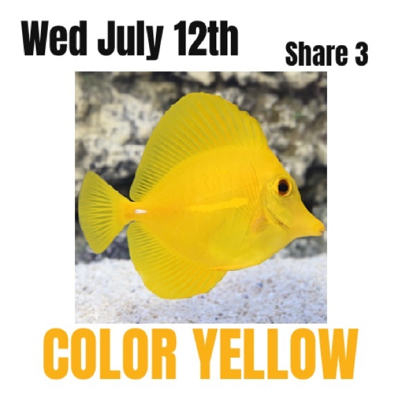 So good I had to share! Check out all the items I'm loving on <a href="/Poshmarkapp/">Poshmark</a> #poshmark #fashion #style #shopmycloset #athleta: posh.mk/7QuThOktoBb