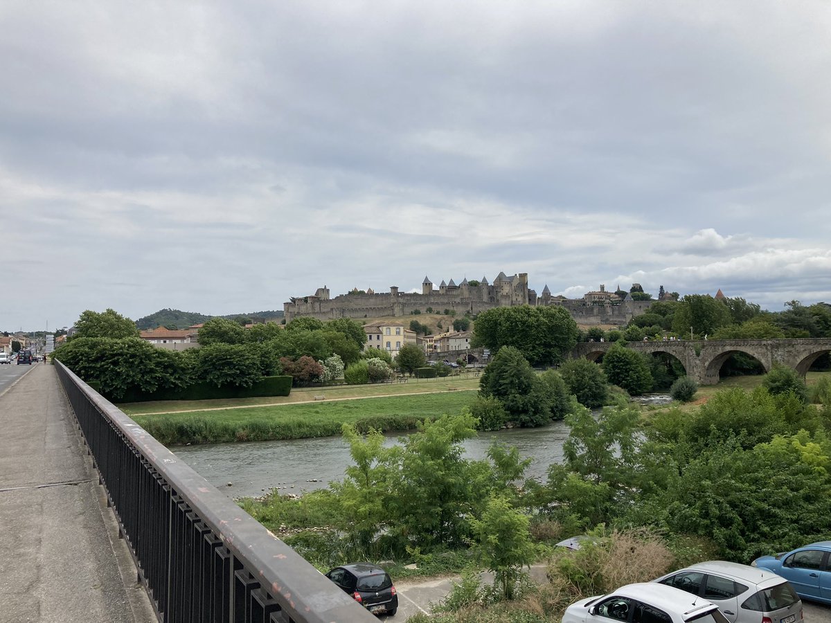 Dr Timothy Wiley tweet media