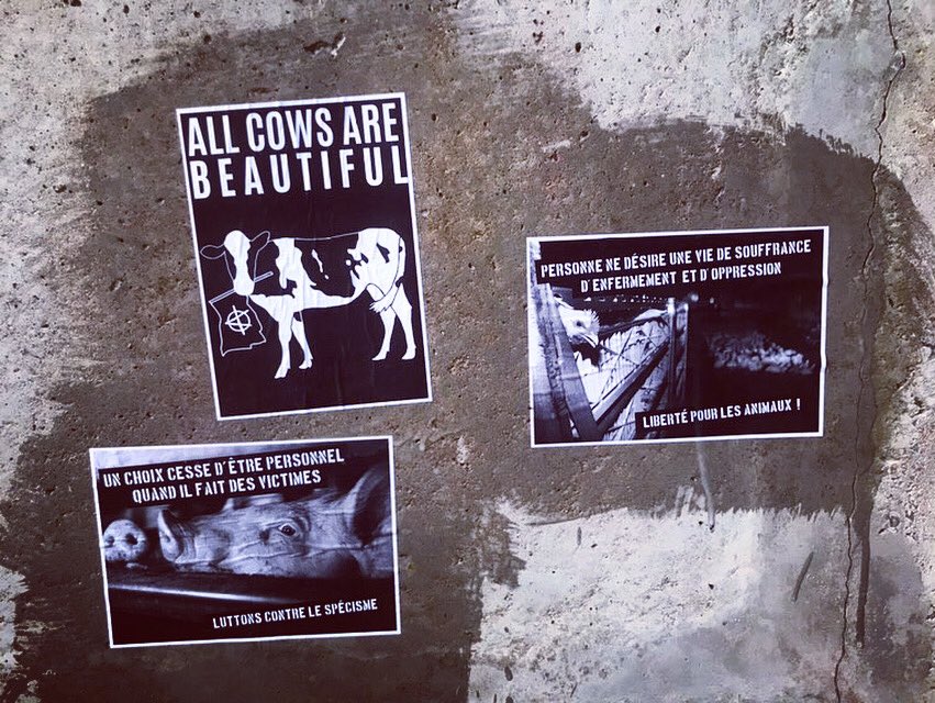CollAnimalistes's tweet photo. 📍Morbihan

Le visage des victimes affichées sur les murs en pleine terre spéciste #Bretagne 

Luttons contre le spécisme ✊

(📷 source anonyme)

#Elevage #Abolition #Collage #Antispecisme #Animaliste #Activisme #StopSpecisme #Artivisme #Antispeciste #Specisme https://t.co/OSfRfzg6Yx