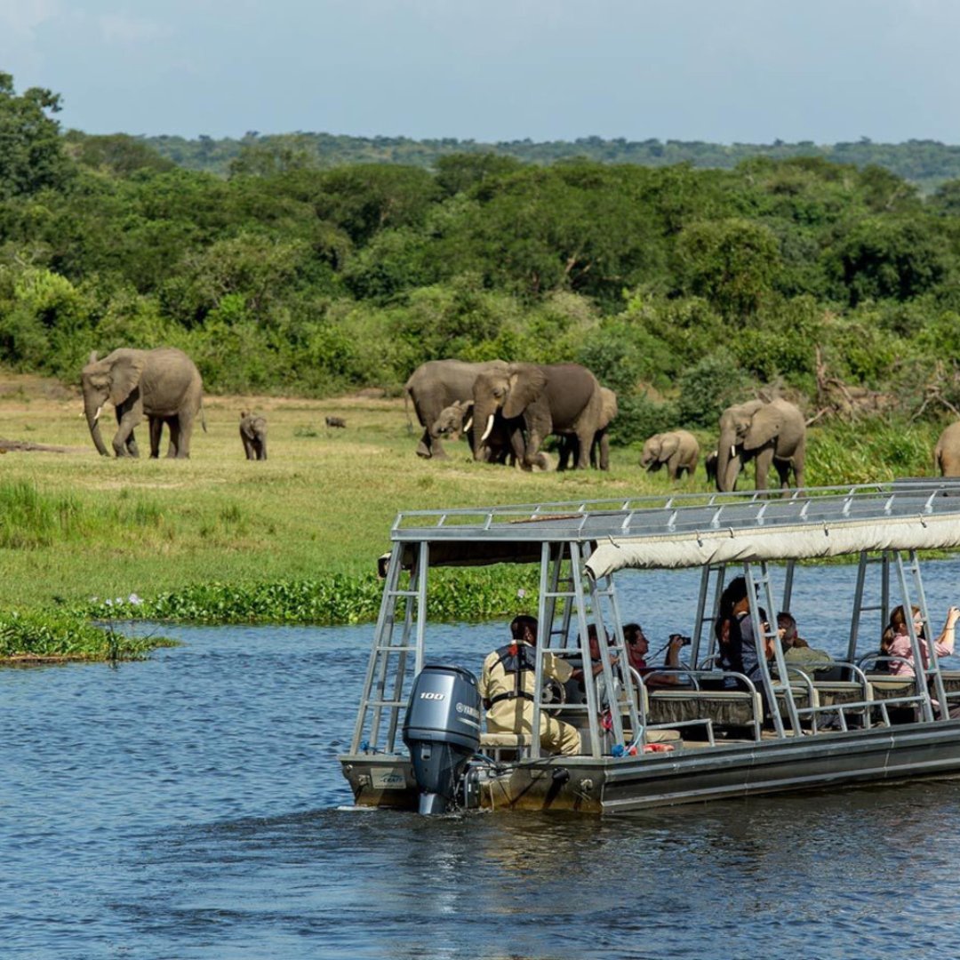 The Famous Boat trip safaris occur in:

• Murchison falls national park

• Kazinga Channel

• Lake Mburo

visit us @ gorillatrips.net/uganda-tours-a…

Call: +256-775-564060

info@gorillatrips.net

#uganda #visituganda #wildlifeconservation #queenelizabethnationalpark #boating