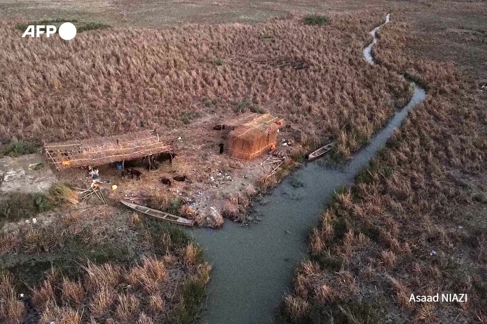 With the drought ravaging Iraq Mesopotamian marshes for a fourth-consecutive year, Mohammed Hamid Nour has lost three-quarters of his herd of water buffaloes. #Iraq marshes are dying, and a civilisation with them rb.gy/2njwc ✍️@GDecamme long read on what's at stake