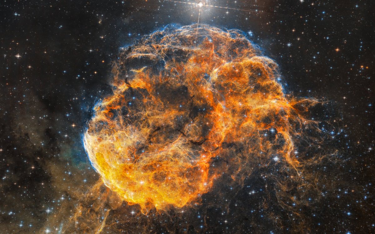 AJamesMcCarthy's tweet photo. Some of the photos I’ve captured of stars in various stages of demise, creating unique nebulae in our skies. Their common names: Crab Nebula, Veil nebula, Jellyfish nebula, and dumbbell nebula. Which is your favorite? https://t.co/eugtkjvu8L