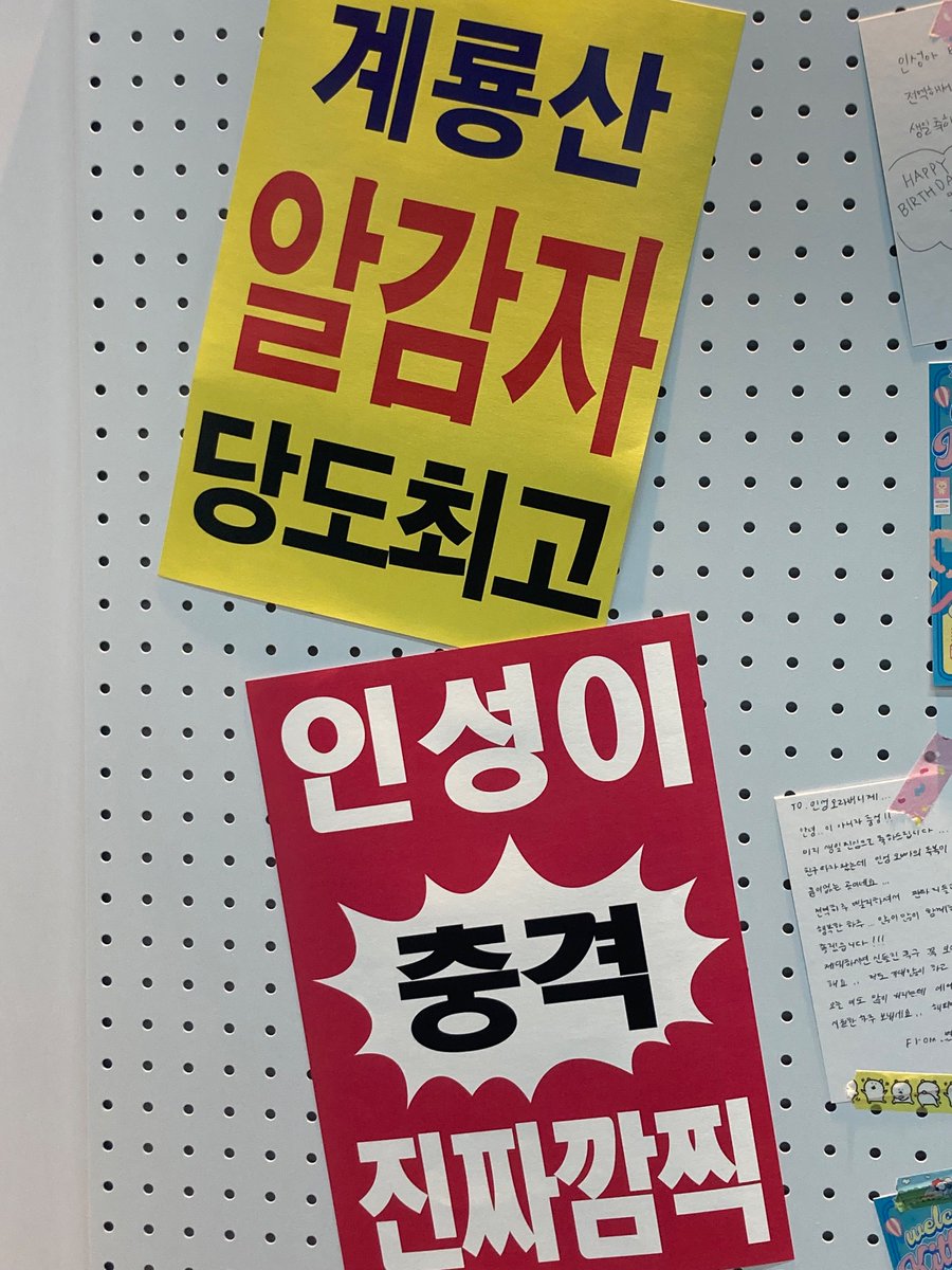 kittycastle712's tweet image. #WELCOME_TO_KITTYLAND
계룡산
알감자
출하임박 ♡