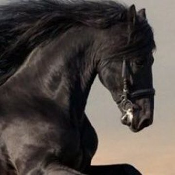 #صورة_ملف_شخصي_جديدة