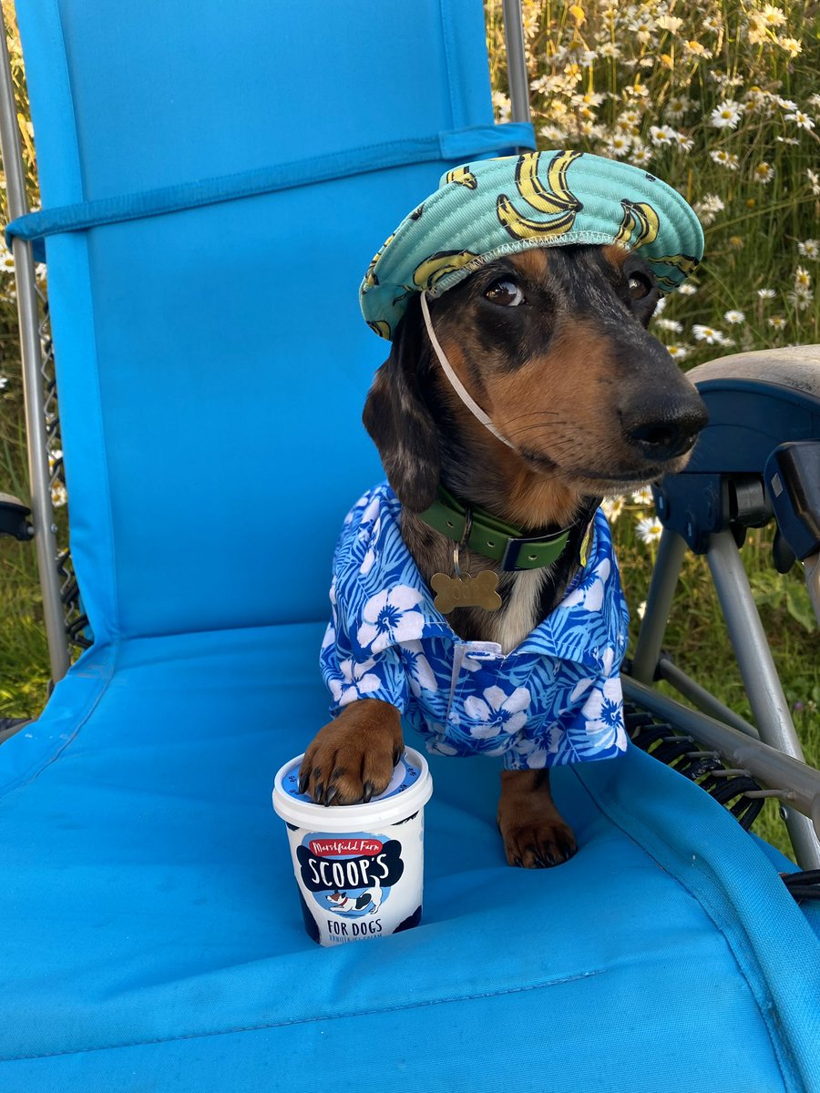 Warcombe Farm Camping Park tweet media