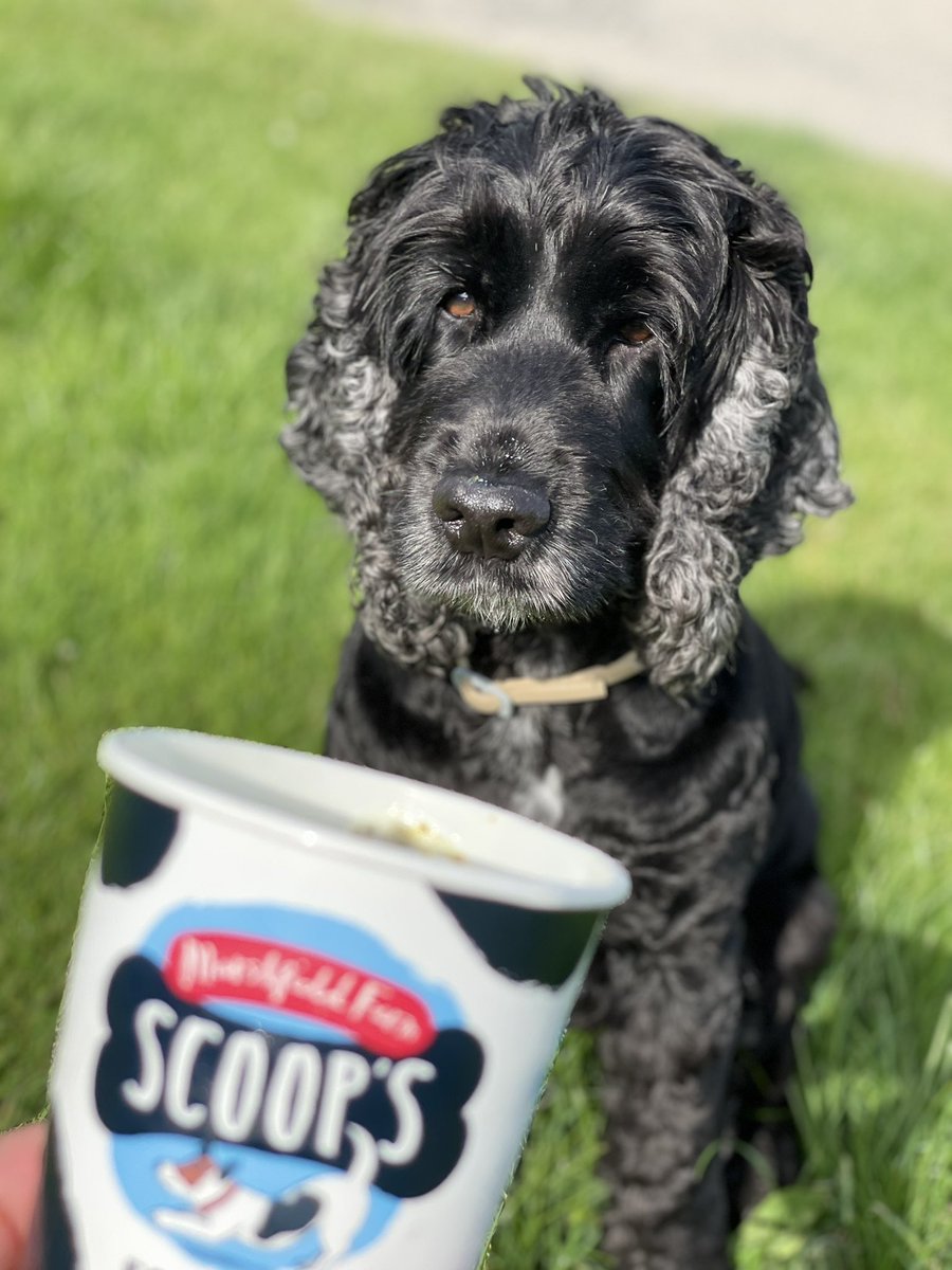 Warcombe Farm Camping Park tweet media