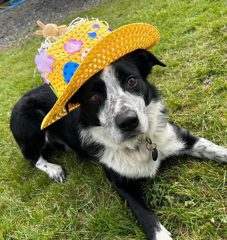 Warcombe Farm Camping Park tweet media