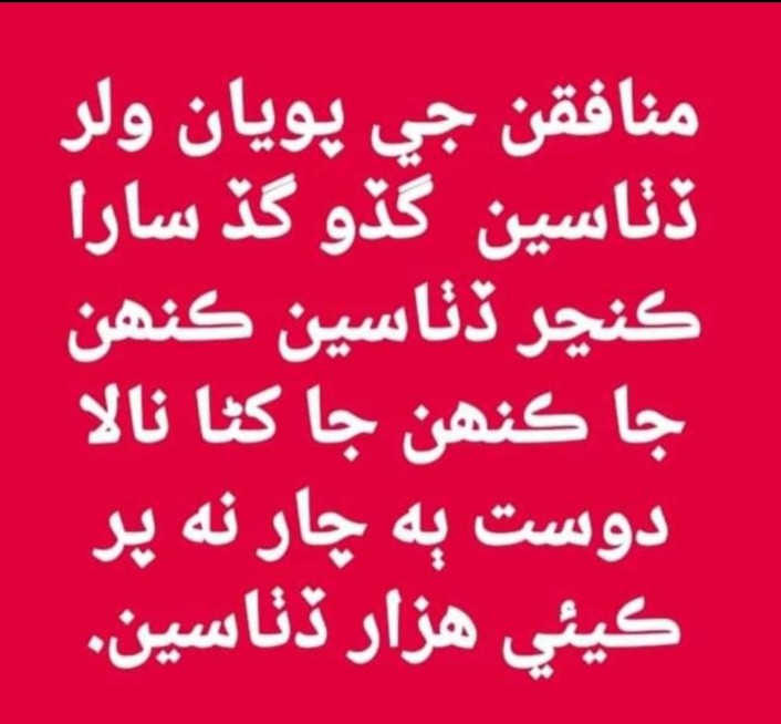 Nazir (@nazir95069643) on Twitter photo 