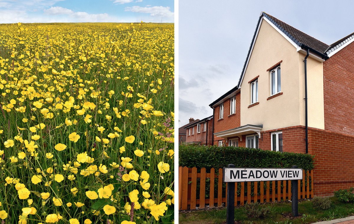 Paul Sterry tweet media