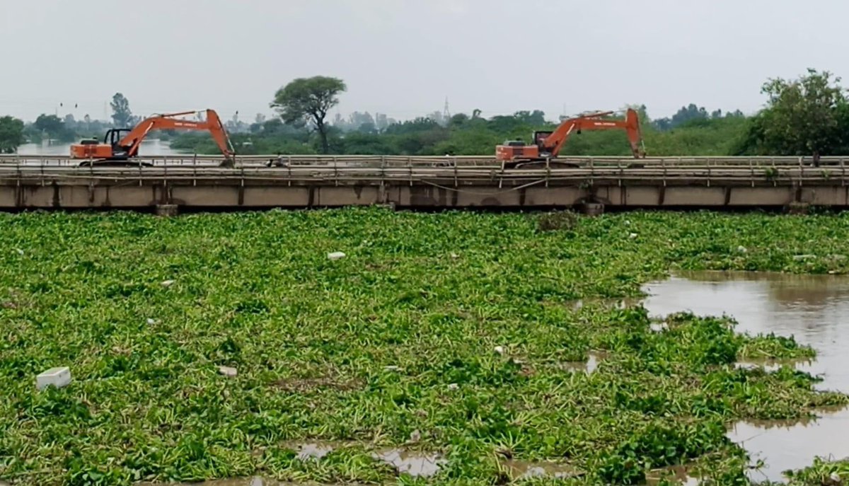 ManikGoyal_'s tweet photo. These are the views of the Ghaggar River held in Khanauri, Sangrur, a district that belongs to our CM @BhagwantMann 

Big breaches in the Ghaggar River have destroyed crops in many villages, and the houses are filled with water.

The pictures clearly indicate that the government of @BhagwantMann did not clean the rivers and drains according to their responsibility.

If they had cleaned them on time, this destruction may have been prevented. 

I still appeal to the government to at least now focus on welfare instead of spending over 100 crores on advertisements every month.