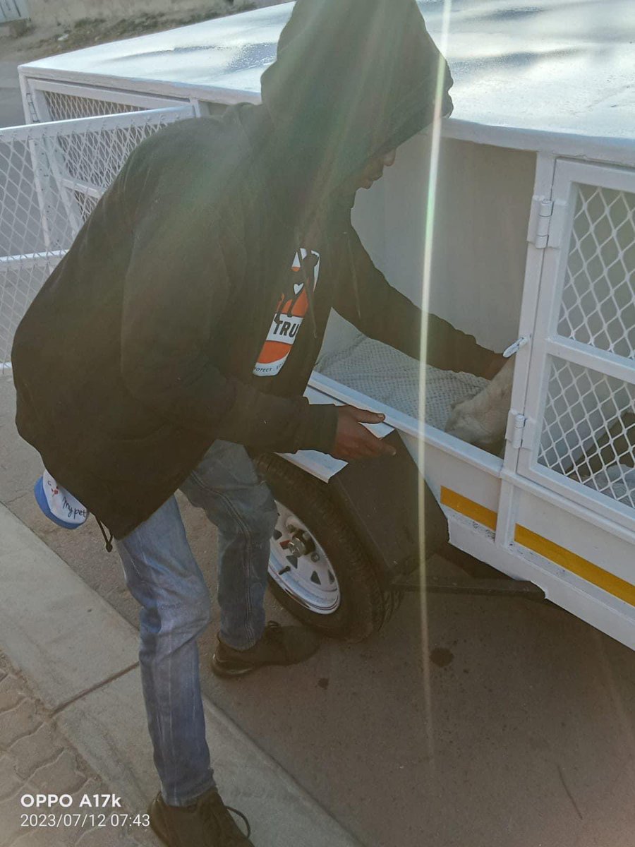 TheDogsTrust's tweet photo. Thank you Woodrock Animal Rescue for sterilising some more dogs and a cat from Diepsloot for us yesterday! 

#changingonelifeatatime https://t.co/KGoWnKxROA