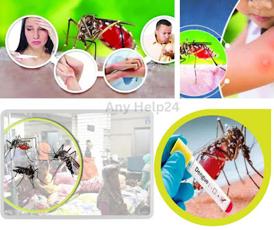 AnyHelp24's tweet image. ডেঙ্গুজ্বর কী ? প্রকার,লক্ষণ, এবংচিকিৎসা।

ডেঙ্গুজ্বর ভাইরাস জনিত একটি রোগ। এডিস প্রজাতির মশার কামড়েই সাধারণত ডেঙ্গু ছড়ায়। ডেঙ্গু আক্রান্ত কোন ব্যক্তিকে কামড়ানোর মাধ্যমে এডিস মশার দেহে............. 

আরো বিস্তারিত জানতে নিচে ক্লিক করুন👇👇👇👇

anyhelp24.com/2023/01/%20Wha…