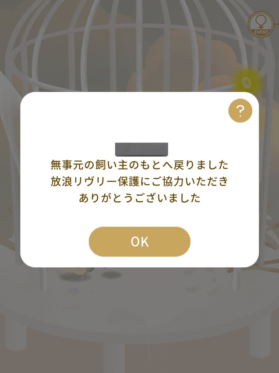 am____430's tweet photo. 1ヶ月以上いた放浪ちゃん帰っちゃった、、
いいことなのに寂しすぎる🥲 https://t.co/BJCn6TV8uR