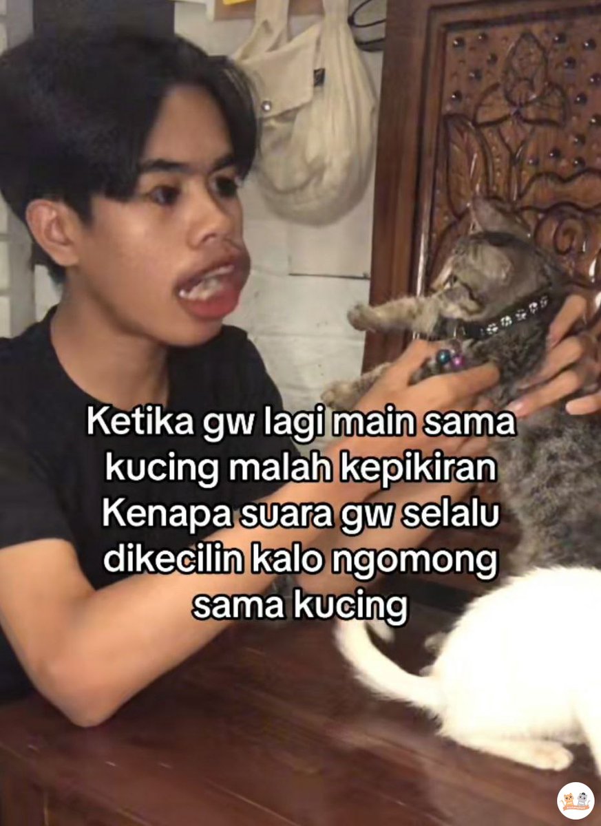 KochengFess v2 tweet media
