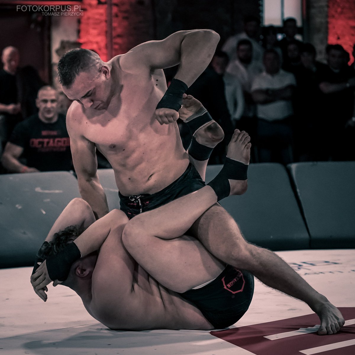 wotore's tweet photo. 🇵🇱,,Wygrywaj bez pychy, przegrywaj bez urazy”👊❗

🇬🇧,,Win without pride, lose without resentment"🔞💪

Zostań zawodnikiem WOTORE i wypełnił formularz na naszej stronie 👊🏻🔥

Join to WOTORE fighters, fill the form on our website 👊🏻 https://t.co/TXGHyEMEhl