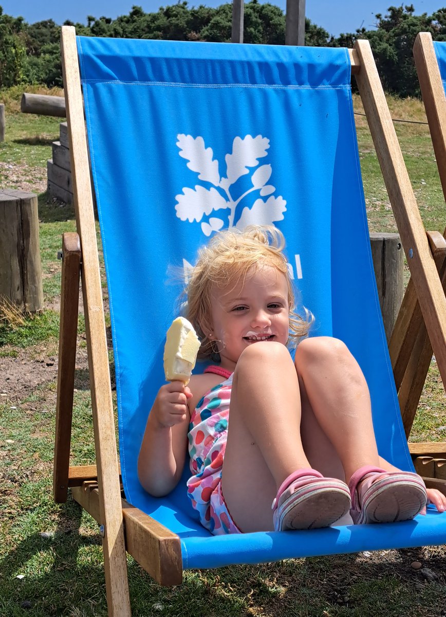 Hannah Chamberlain tweet media