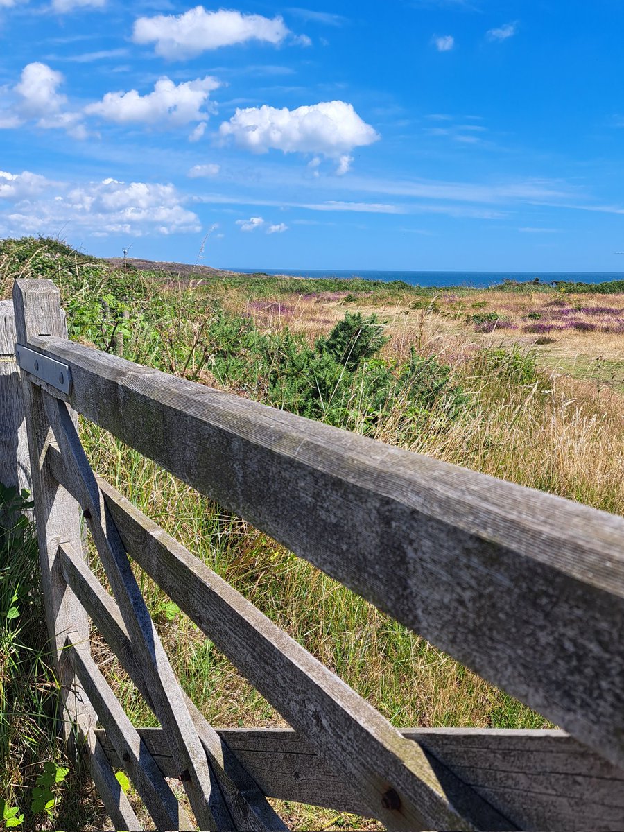 Hannah Chamberlain tweet media