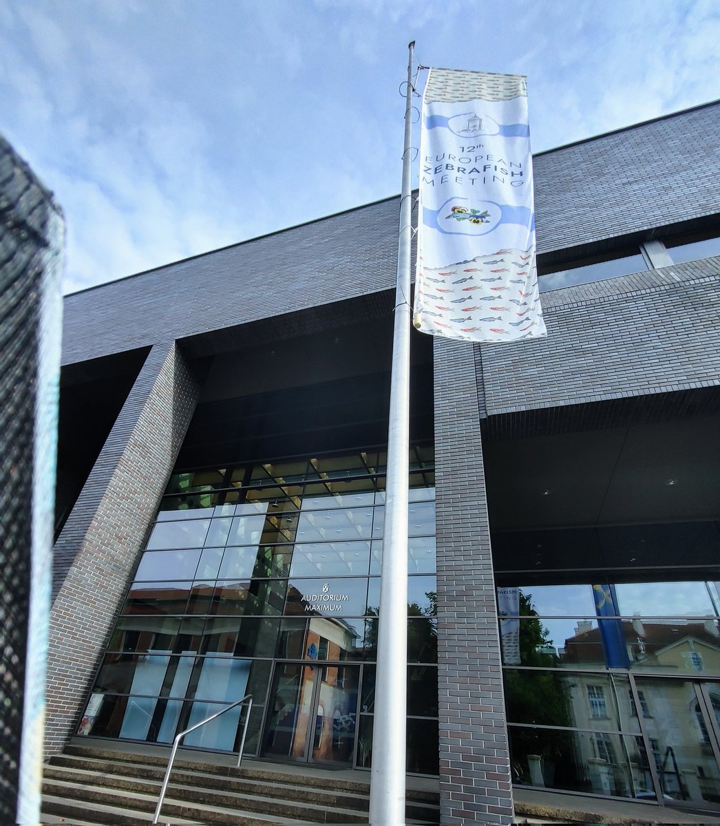 Sadly, it's the last day of #EZM2023, enjoy today's sessions!