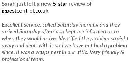 JG Pest Control (@jgpest) on Twitter photo Came into the office this morning to see below from our customer, Sarah. This kind of review is what we are striving for as a business day in day out 🙌
Weekend callouts ✅
Same day response ✅
Friendly & Professional technicians ✅
Another ⭐️⭐️⭐️⭐️⭐️<a href="/Trustpilot/">Trustpilot</a> review for us! Came into the office this morning to see below from our customer, Sarah. This kind of review is what we are striving for as a business day in day out 🙌
Weekend callouts ✅
Same day response ✅
Friendly & Professional technicians ✅
Another ⭐️⭐️⭐️⭐️⭐️<a href="/Trustpilot/">Trustpilot</a> review for us!