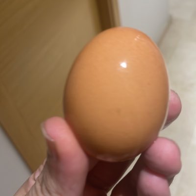 criptobross's tweet image. #NuevaFotoDePerfil