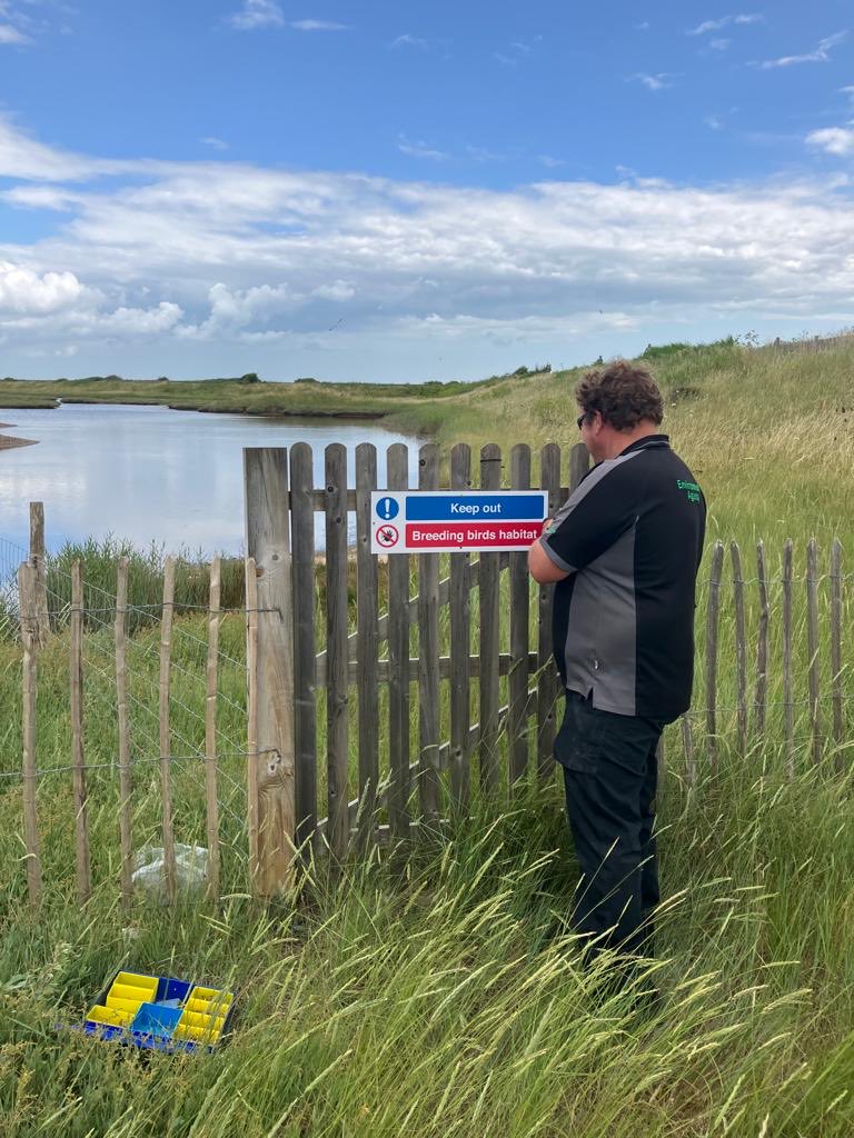 #TeamEA have put up #KeepOut signage on the #SaltLagoons #NortherSeaWall to protect nesting birds. Well done team 
⁦<a href="/riversideros/">saveourfarms 🍃💚🍃</a>⁩

⁦<a href="/EnvAgencySE/">Environment AgencySE</a>⁩
