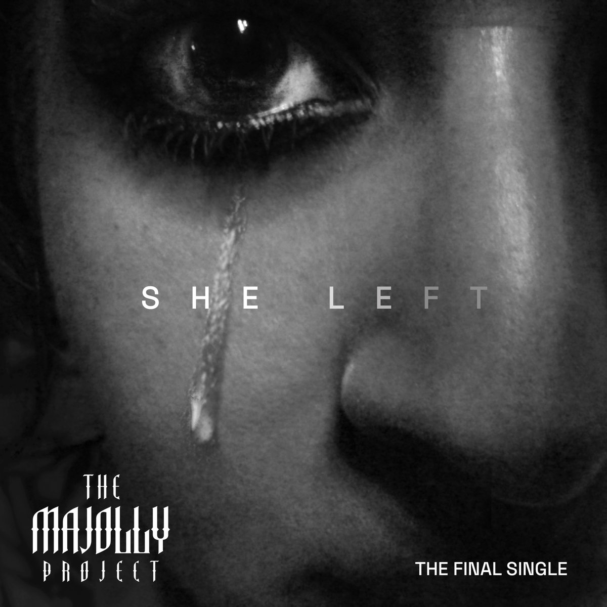 The Majolly Project tweet media