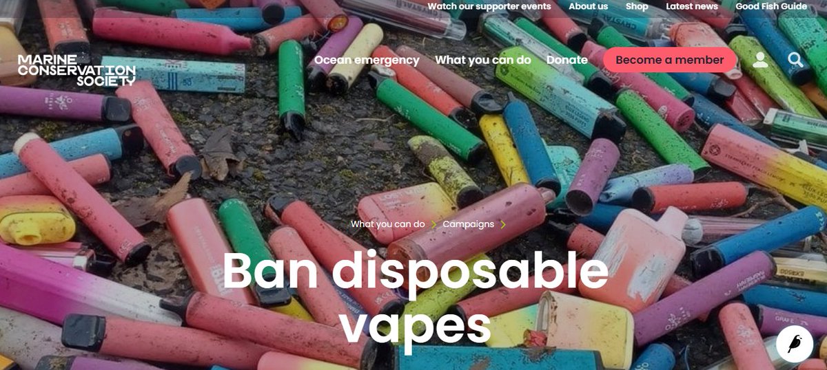 Thanks to @kirstenoswald MP for raising our <a href="/mcsuk/">Marine Conservation Society</a> calls to #BanDisposableVapes &amp; referencing our joint briefing with <a href="/LessWasteLaura/">Laura Anderson (Young)</a> <a href="/EnviroElliott/">Elliott Welch</a> <a href="/ASHScotland/">ASH Scotland</a> &amp; <a href="/KSBScotland/">Keep Scotland Beautiful</a> 

Westminster mention: theyworkforyou.com/debates/?id=20…

Parliamentary Briefing: …n-society-production.s3.amazonaws.com/documents/Join…