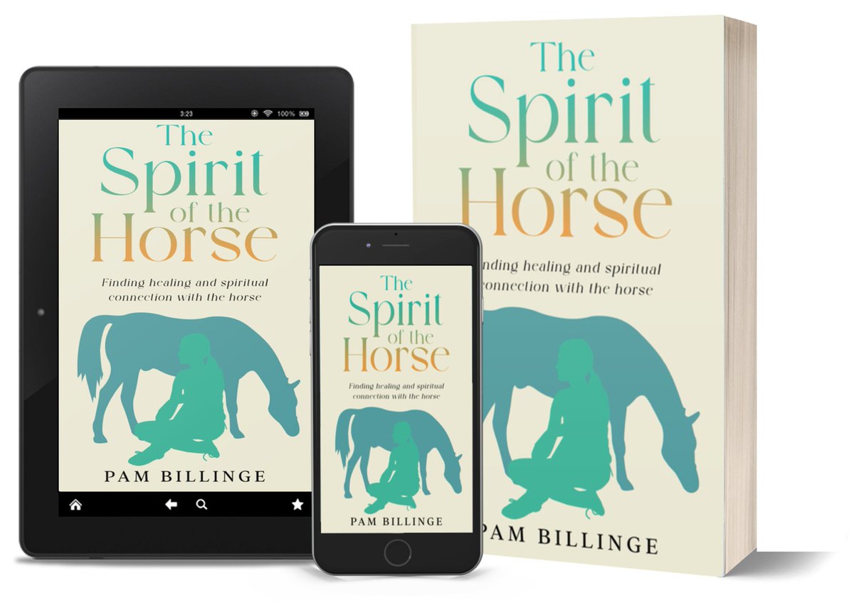 Thank you to one US reader for this seasonal review! 'This book has taken me on a much needed mental vacation... I highly recommend it to anyone - whether or not one’s heart has been forever touched by a member of the equine species' #holidayread #horses #horsebook #SummerRead