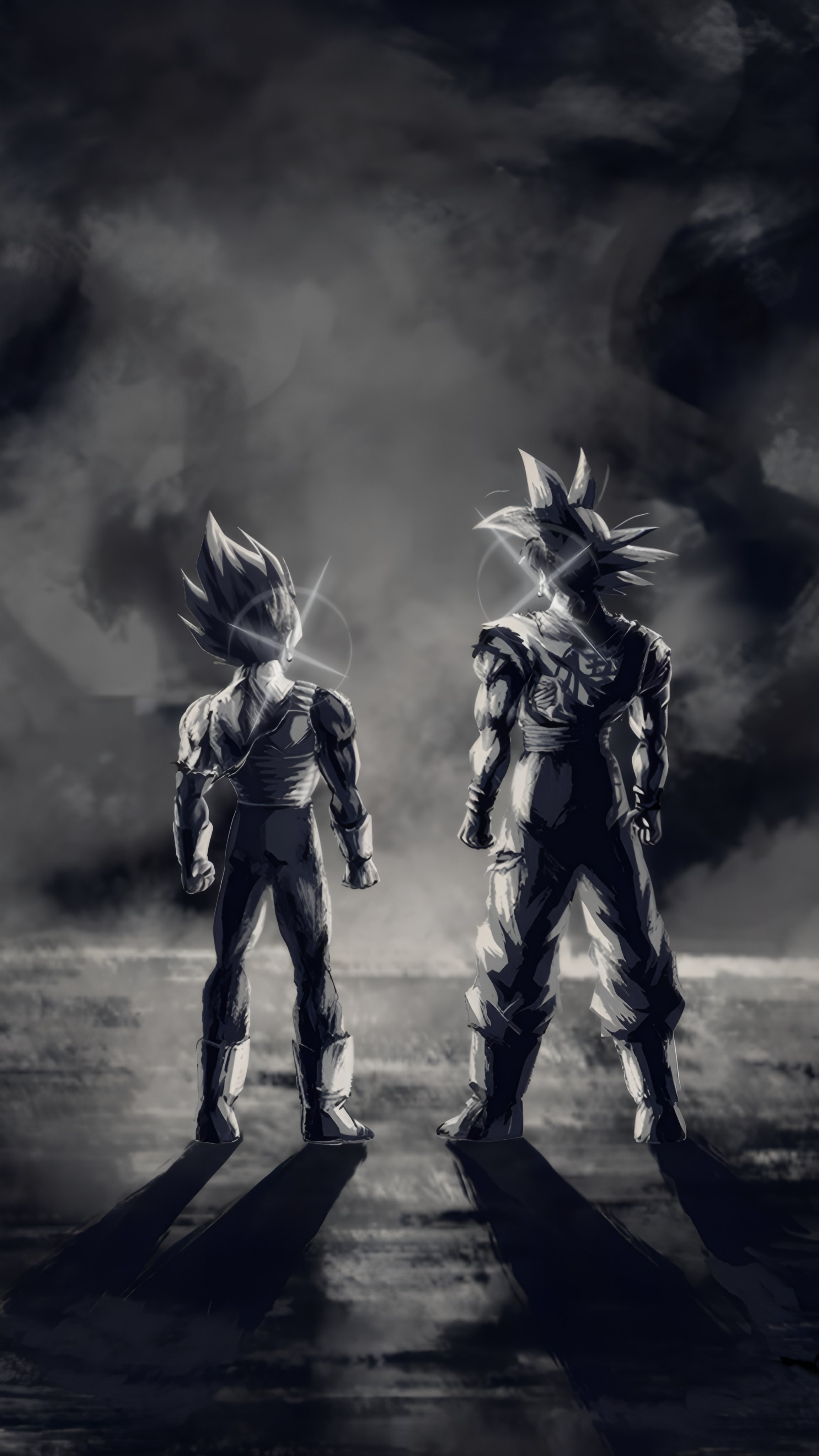 Goku and 2024 vegeta wallpaper