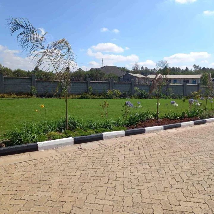 MV_crafts's tweet photo. Your lawn and garden should be a work of art..
Call us today on 0726595809 to transform it.
#maandamanowednesday
#Tumechoka
Raila Emali Kenyans Ruto Azimio Expressway JKlive
Sifuna Malala Ledama Mavoko https://t.co/3ZbbdMkknc
