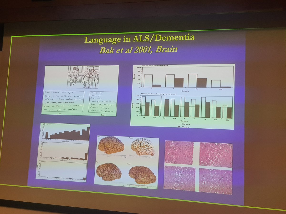 I have enjoyed a lot the talk by <a href="/thbaketal/">Thomas H Bak</a> on language issues in FTD and MND at the AD conference and UK-Israel MND-FTD symposium in Tel Aviv (and today it's my turn to speak!)