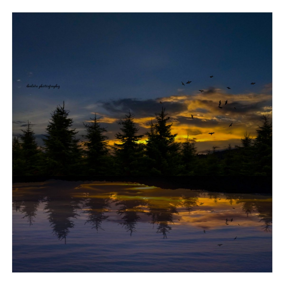Ibavanessa1's tweet photo. #skyphotography #sky_capture #sunset_capture #sunset_madness #sunset_chaser #sunset #sunsetoftheday https://t.co/3rQ8TCYJ1f