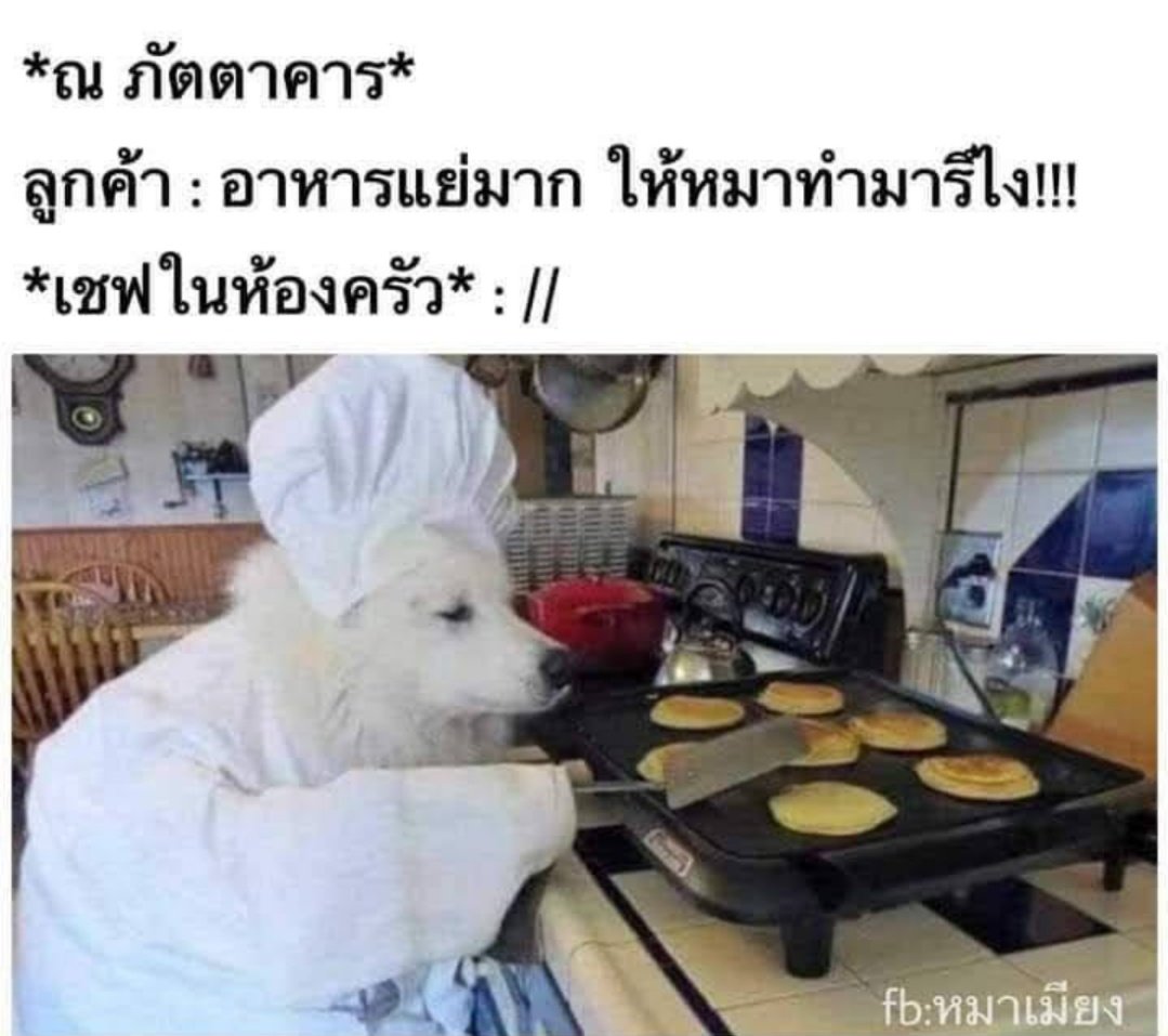 chaleenajaja's tweet photo. เค้ารู้ได้ไงอ่ะ เลิ่กลั่กๆ https://t.co/RHPzIU9qMI